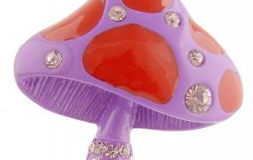 紫色蘑菇是什么图片 紫色蘑菇是什么品种