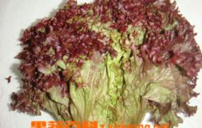 紫生菜的营养价值和功效