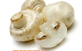 怎么辨别蘑菇是否有毒