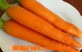 胡萝卜怎么吃好 胡萝卜的吃法介绍