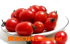 小番茄是转基因吗 小番茄的营养价值