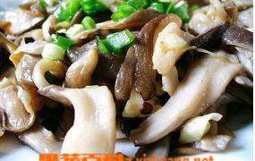 炒平菇如何做好吃 炒平菇的做法大全