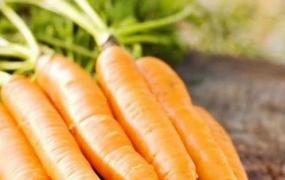 胡萝卜怎么吃营养 胡萝卜食用方法