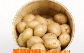 土豆的功效与作用 吃土豆有哪些好处