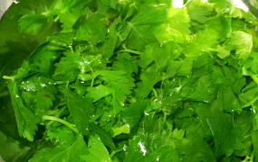 芹菜叶如何做好吃 芹菜叶的常见吃法