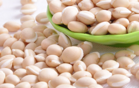 白扁豆的药用价值与功效
