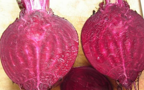 紫菜头是什么 吃紫菜头的功效与作用