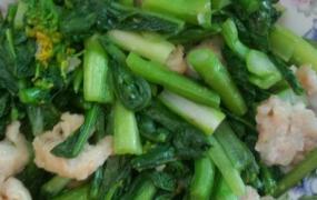 青菜炒肉丝如何做好吃 青菜炒肉丝的材料和做法
