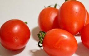 小番茄怎么洗才最干净 小番茄的清洗方法