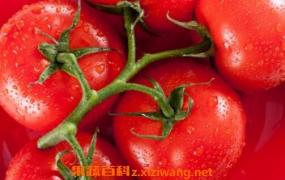 西红柿的妙用窍门 西红柿的用途有哪些