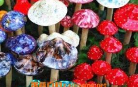 中国十大毒蘑菇都是哪些 毒蘑菇的辨别方法