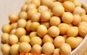黄豆壳的营养价值 黄豆壳的药用功效