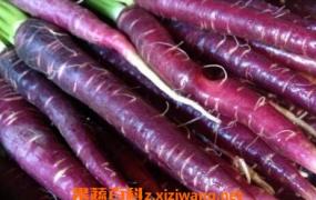 紫色胡萝卜的营养价值 吃紫色胡萝卜的好处
