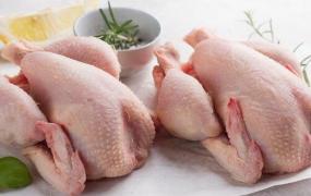 如何判断鸡肉是否变质 如何防止鸡肉变质
