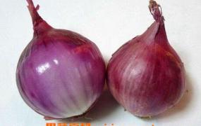 紫色洋葱的功效与作用 紫色洋葱能预防癌症