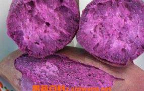 紫山芋的功效与作用 紫山芋能通便防癌