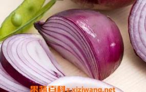 紫圆葱的功效与作用 吃紫圆葱的好处