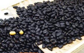 黑豆怎么吃 黑豆的吃法步骤教程