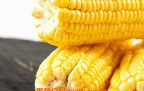 黄玉米的功效与作用 黄玉米的药用功效