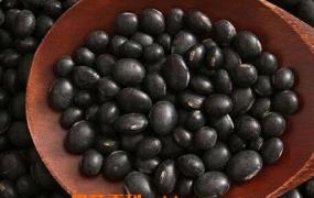 黑豆的功效与作用与食用方法