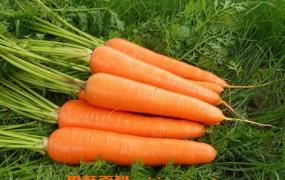 胡萝卜素的作用与功能 食用胡萝卜素的注意事项