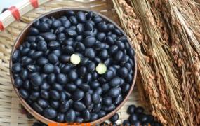 黑豆怎么吃最好 常见黑豆的吃法技巧