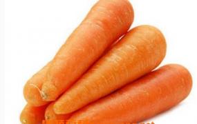 胡萝卜素的功效与作用及营养价值