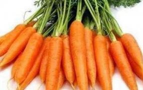 胡萝卜怎么吃最有营养 胡萝卜的吃法技巧