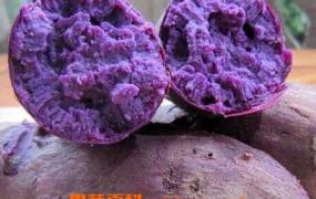 紫心番薯和哪些食物相克 紫心番薯和什么搭配好