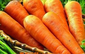 胡萝卜的营养价值有哪些