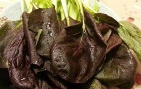 紫油菜和什么相克 紫油菜怎么吃最好