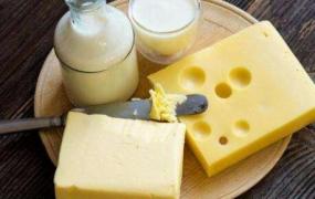 奶酪怎么吃 奶酪的吃法技巧