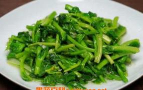 大白菜苔怎么做好吃 大白菜苔的做法大全