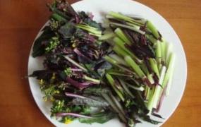 菜苔干怎么做 菜苔干的腌制方法