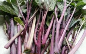 菜苔如何长期保存 菜苔的保存方法技巧