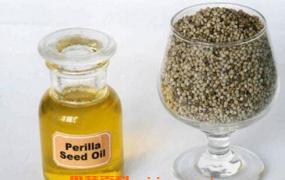 紫苏籽油的功效与作用及营养价值