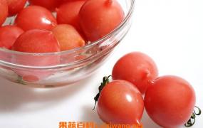 西红柿什么季节最好吃 吃西红柿注意事项