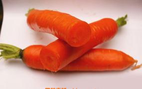 胡萝卜的功效与作用 胡萝卜有哪些营养价值