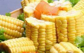 玉米的功效与作用有哪些