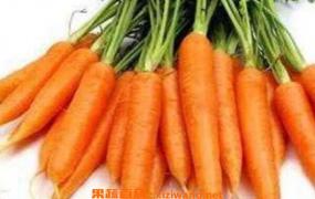 胡萝卜怎么吃 胡萝卜的功效与作用