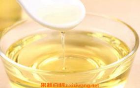 油茶籽油的功效与作用 油茶籽油的好处