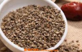 菠菜籽粉的功效与作用 菠菜籽的药用价值