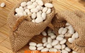 大白芸豆的功效与作用 吃大白芸豆的好处