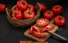 西红柿籽的功效与作用 西红柿籽的用途有哪些