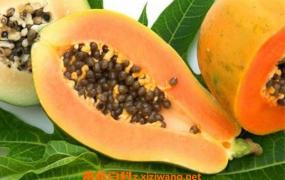 木瓜酵素的作用和功效 喝木瓜酵素的好处