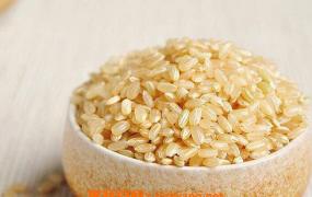 糙米的营养价值及功效 吃糙米的好处