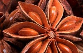 大茴香籽和小茴香籽的区别