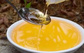 新鲜山胡椒油怎么做 新鲜山胡椒油的制作方法