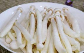 海鲜菇的功效与作用 海鲜菇的好处