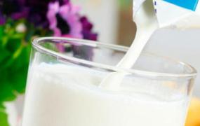 生牛乳和脱脂牛乳的区别 吃牛乳的好处
